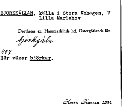 Bild på arkivkortet för arkivposten Björkkällan