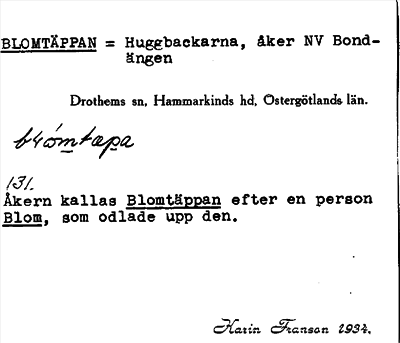 Bild på arkivkortet för arkivposten Blomtäppan