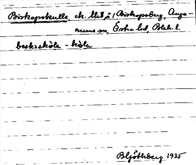 Bild på arkivkortet för arkivposten Biskopskulle