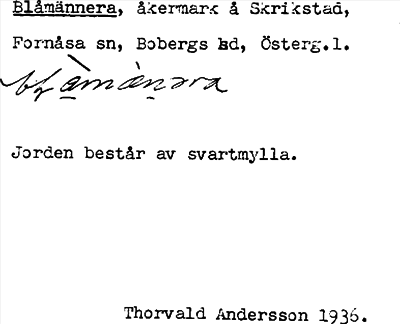 Bild på arkivkortet för arkivposten Blåmännera