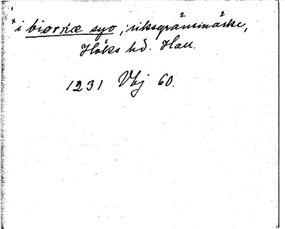 Bild på arkivkortet för arkivposten »biørnæ syo»