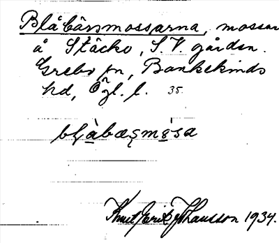 Bild på arkivkortet för arkivposten Blåbärsmossarna