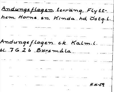 Bild på arkivkortet för arkivposten Andungeflogen