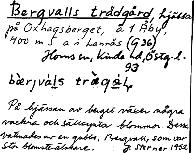 Bild på arkivkortet för arkivposten Bergvalls trädgård