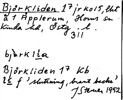 Bild på arkivkortet för arkivposten Björkliden