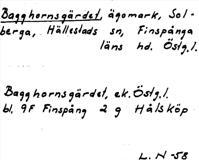 Bild på arkivkortet för arkivposten Bagghornsgärdet