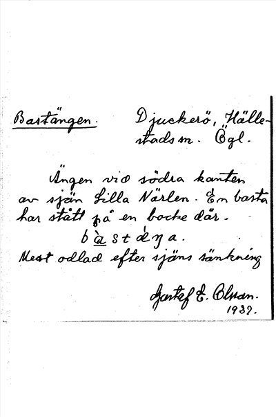 Bild på arkivkortet för arkivposten Bastängen