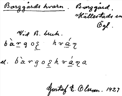 Bild på arkivkortet för arkivposten Borggårds kvarn