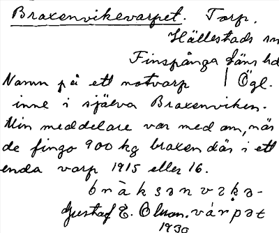 Bild på arkivkortet för arkivposten Braxenvikevarpet