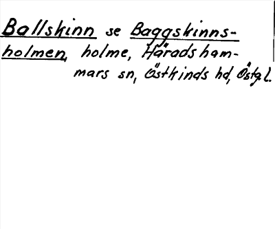 Bild på arkivkortet för arkivposten Ballskinn, se Baggskinnsholmen