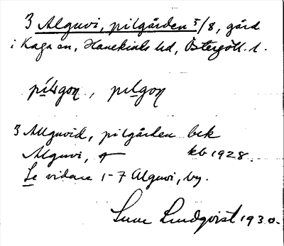 Bild på arkivkortet för arkivposten Alguvi, pilgården