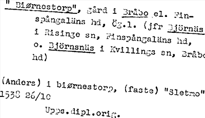 Bild på arkivkortet för arkivposten »Biørnestorp»