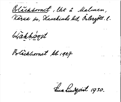 Bild på arkivkortet för arkivposten Bläckhornet