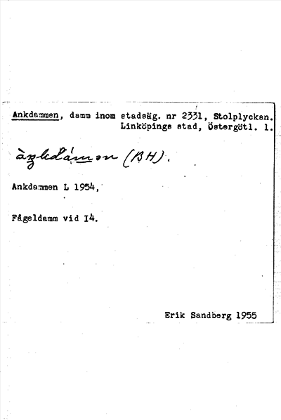 Bild på arkivkortet för arkivposten Ankdammen