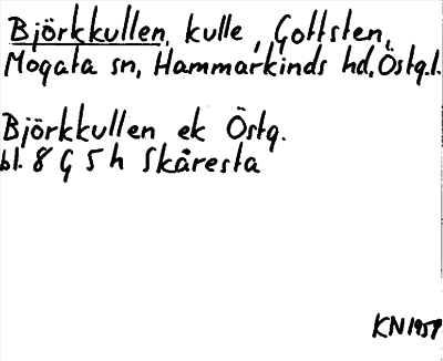 Bild på arkivkortet för arkivposten Björkkullen