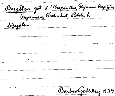 Bild på arkivkortet för arkivposten Borgölen