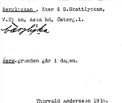 Bild på arkivkortet för arkivposten Berglyckan