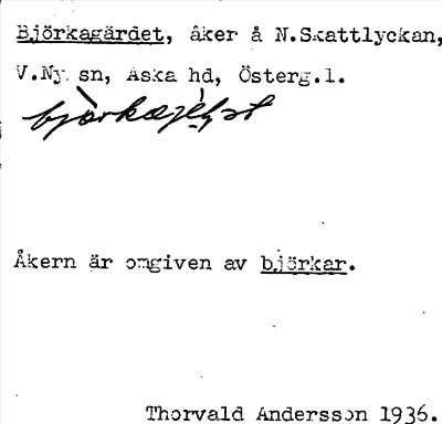 Bild på arkivkortet för arkivposten Björkagärdet