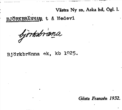 Bild på arkivkortet för arkivposten Björkbränna