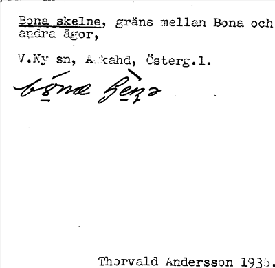 Bild på arkivkortet för arkivposten Bona skelne
