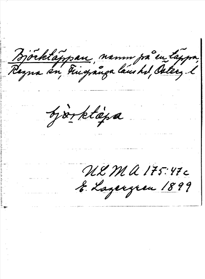 Bild på arkivkortet för arkivposten Björktäppan