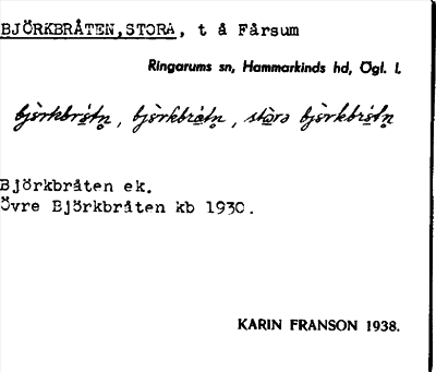 Bild på arkivkortet för arkivposten Björkbråten, Stora