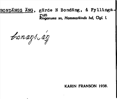 Bild på arkivkortet för arkivposten Bondängs äng
