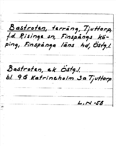 Bild på arkivkortet för arkivposten Bastroten