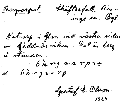 Bild på arkivkortet för arkivposten Bergvarpet