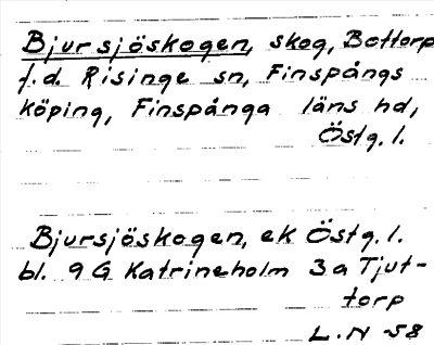 Bild på arkivkortet för arkivposten Bjursjöskogen