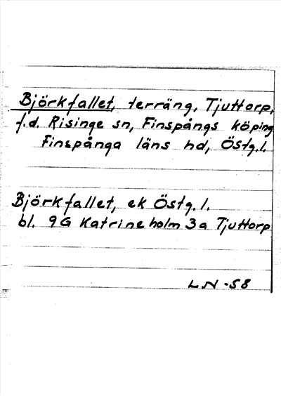 Bild på arkivkortet för arkivposten Björkfallet