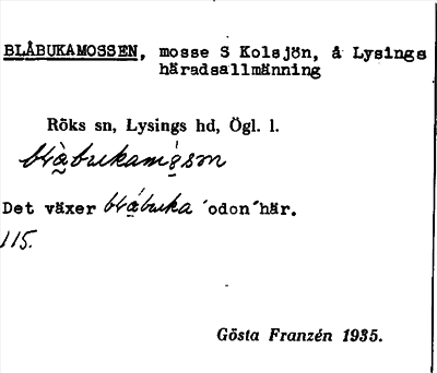 Bild på arkivkortet för arkivposten Blåbukamossen