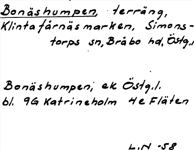 Bild på arkivkortet för arkivposten Bonäshumpen
