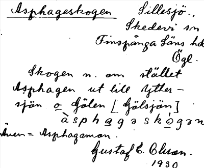Bild på arkivkortet för arkivposten Asphageskogen