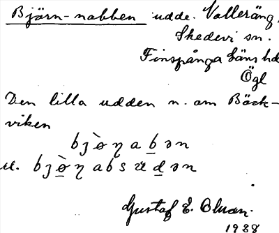 Bild på arkivkortet för arkivposten Björn-nabben