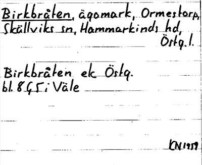 Bild på arkivkortet för arkivposten Birkbråten