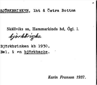 Bild på arkivkortet för arkivposten Björkbrinken