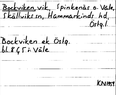 Bild på arkivkortet för arkivposten Bockviken