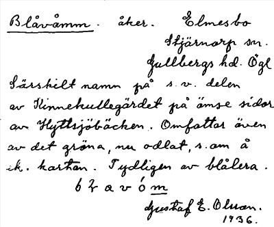 Bild på arkivkortet för arkivposten Blåvåmm
