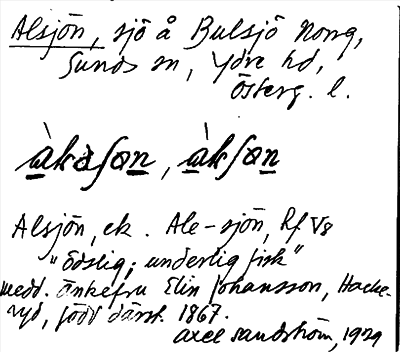Bild på arkivkortet för arkivposten Alsjön