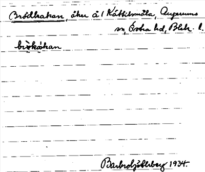 Bild på arkivkortet för arkivposten Brödkakan