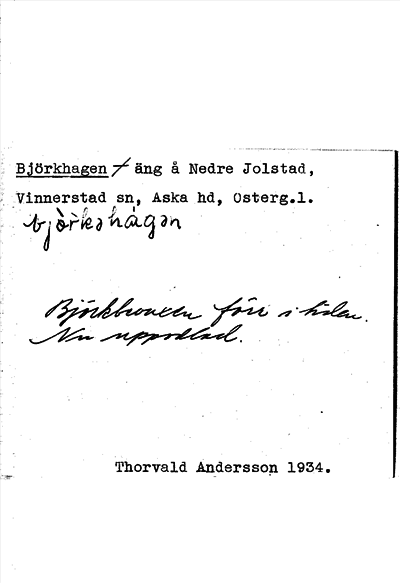 Bild på arkivkortet för arkivposten Björkhagen