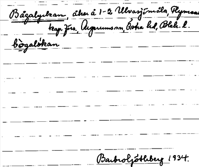 Bild på arkivkortet för arkivposten Bågalyckan