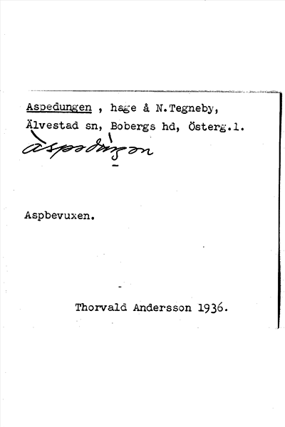 Bild på arkivkortet för arkivposten Aspedungen