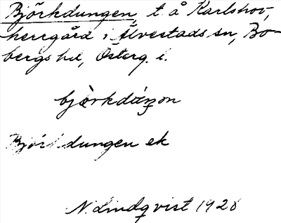 Bild på arkivkortet för arkivposten Björkdungen