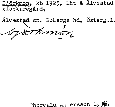 Bild på arkivkortet för arkivposten Björkmon