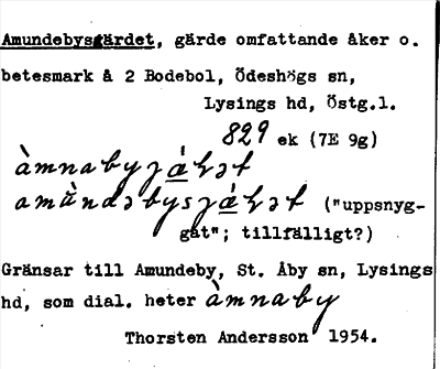 Bild på arkivkortet för arkivposten Amundebysgärdet