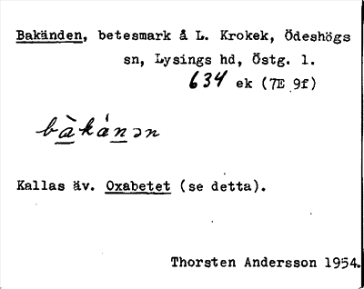 Bild på arkivkortet för arkivposten Bakänden