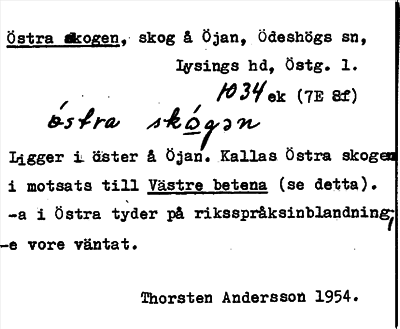 Bild på arkivkortet för arkivposten Östra skogen