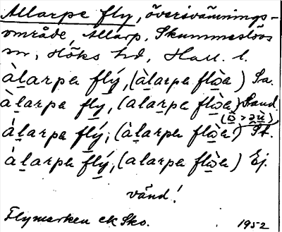 Bild på arkivkortet för arkivposten Allarpe fly
